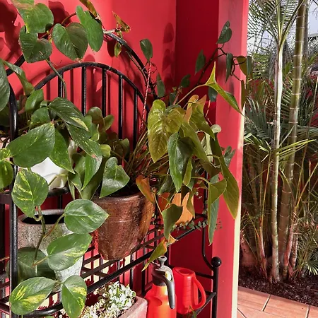 Вілла Red-house *