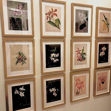 Red-house Вілла